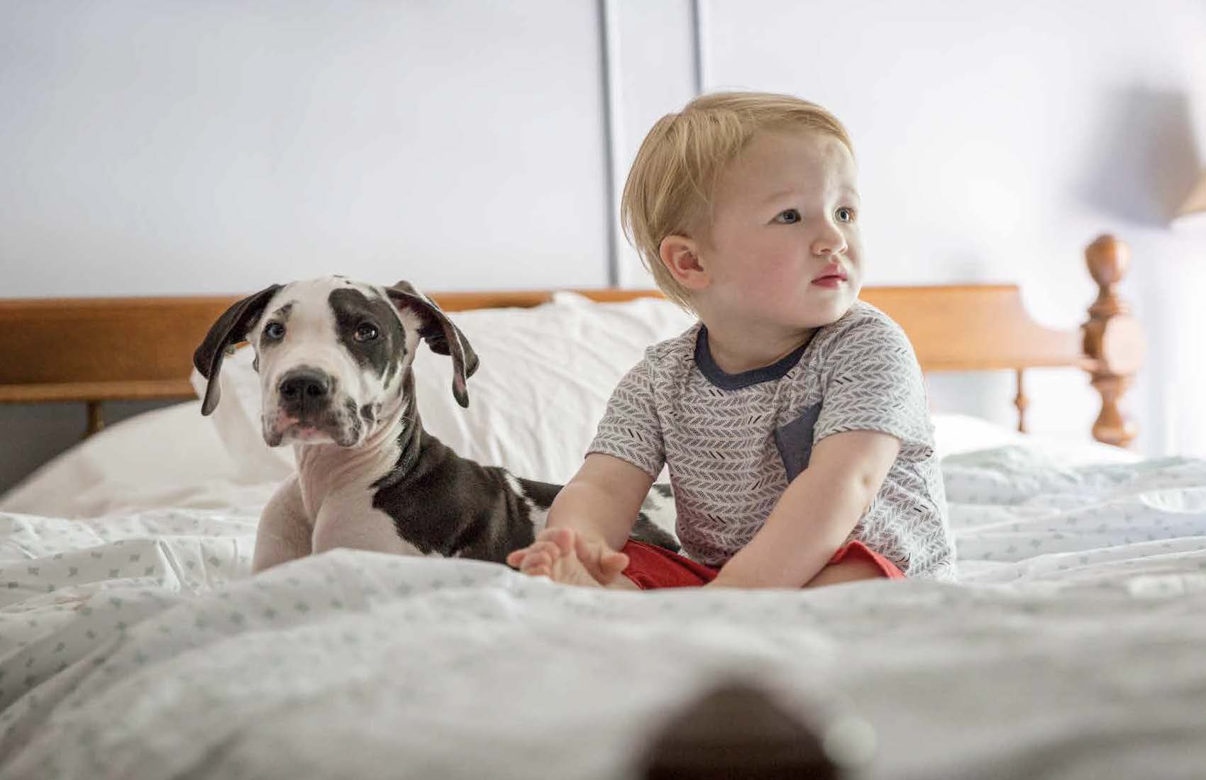 JM_Animals_2018_Page_19_Image_0001